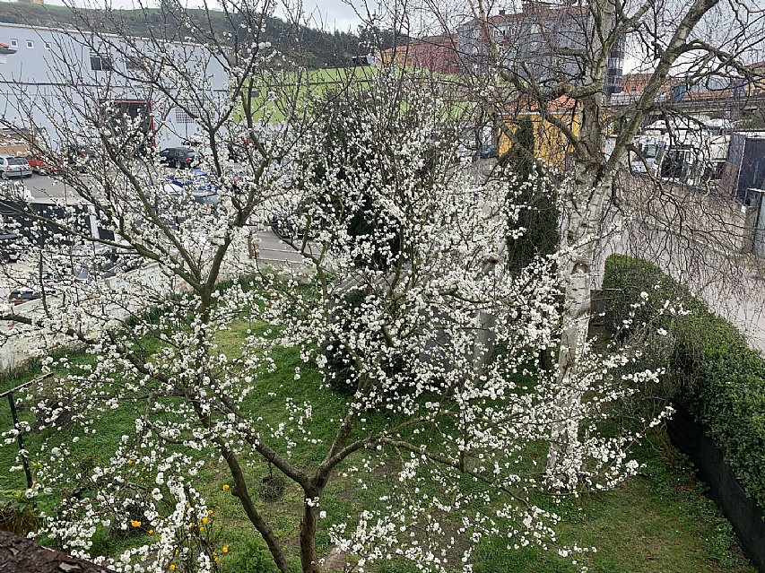 Casa indiviual de dos plantas con jardín en Barreda
